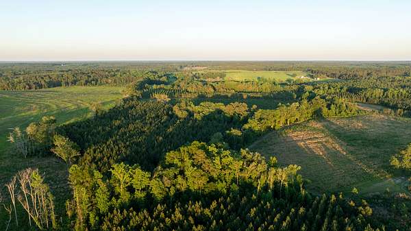 104 Acres of Recreational Land for Sale in Sylvania, Georgia