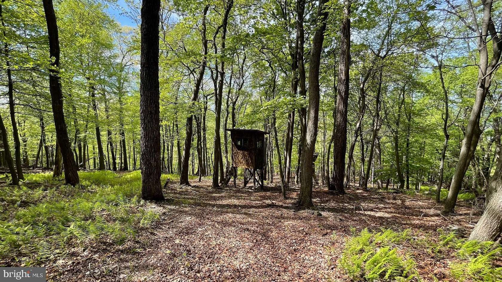 134 Acres of Recreational Land for Sale in Burlington, West Virginia