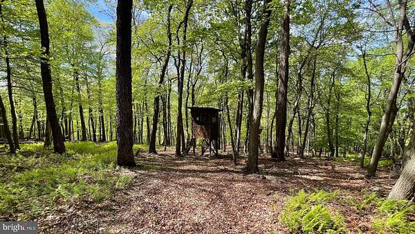 134 Acres of Recreational Land for Sale in Burlington, West Virginia