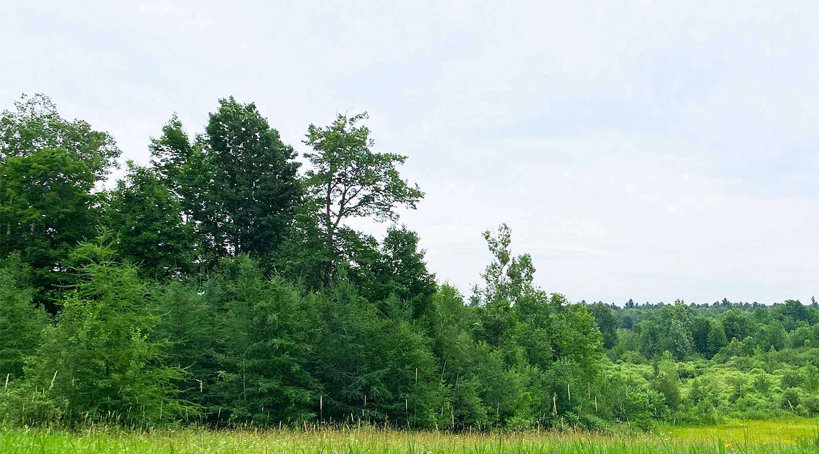 18 Acres of Recreational Land for Sale in Norwood, New York