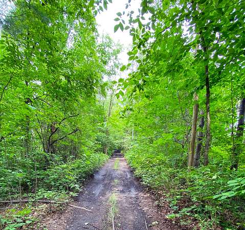 18 Acres of Recreational Land for Sale in Norwood, New York