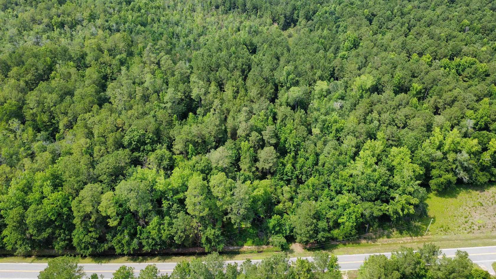 20.1 Acres of Recreational Land for Sale in Green Sea, South Carolina