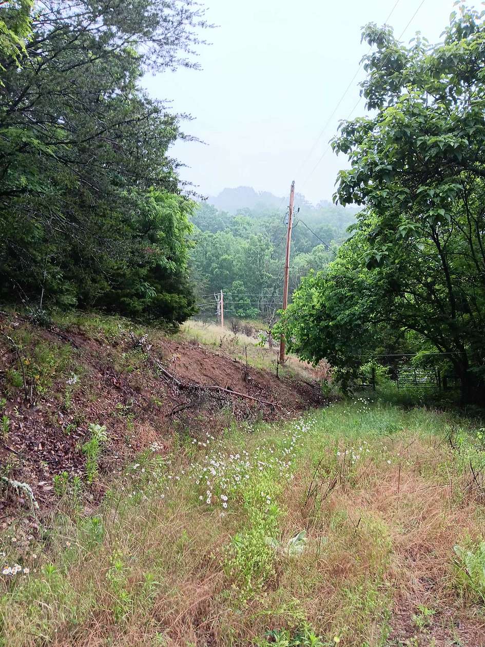 17.5 Acres of Land for Sale in Mooresburg, Tennessee