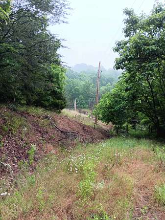 17.5 Acres of Land for Sale in Mooresburg, Tennessee