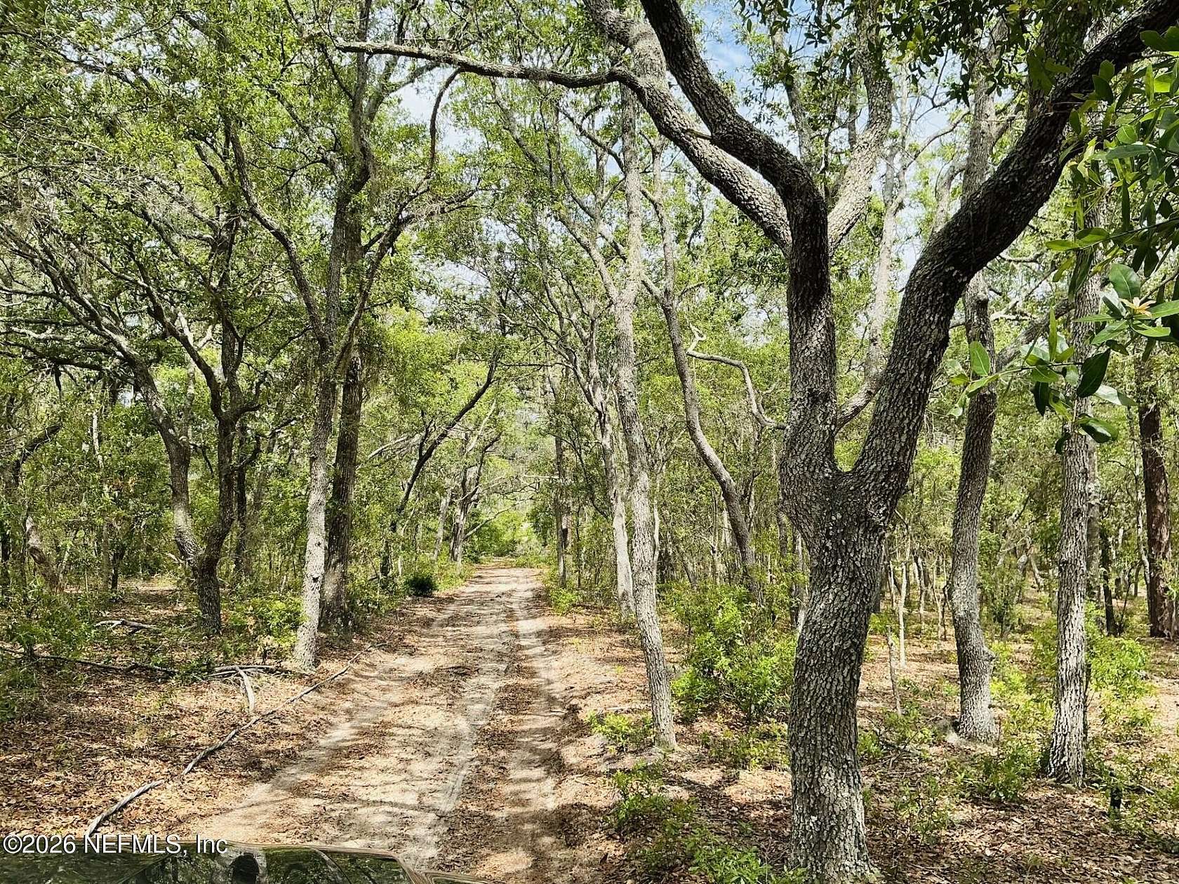 18.3 Acres of Land for Sale in Hawthorne, Florida