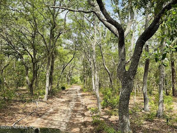 18.3 Acres of Land for Sale in Hawthorne, Florida