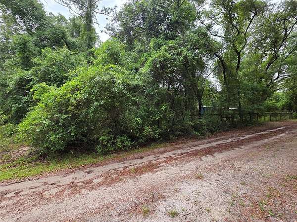 0.19 Acres of Residential Land for Sale in Fort McCoy, Florida