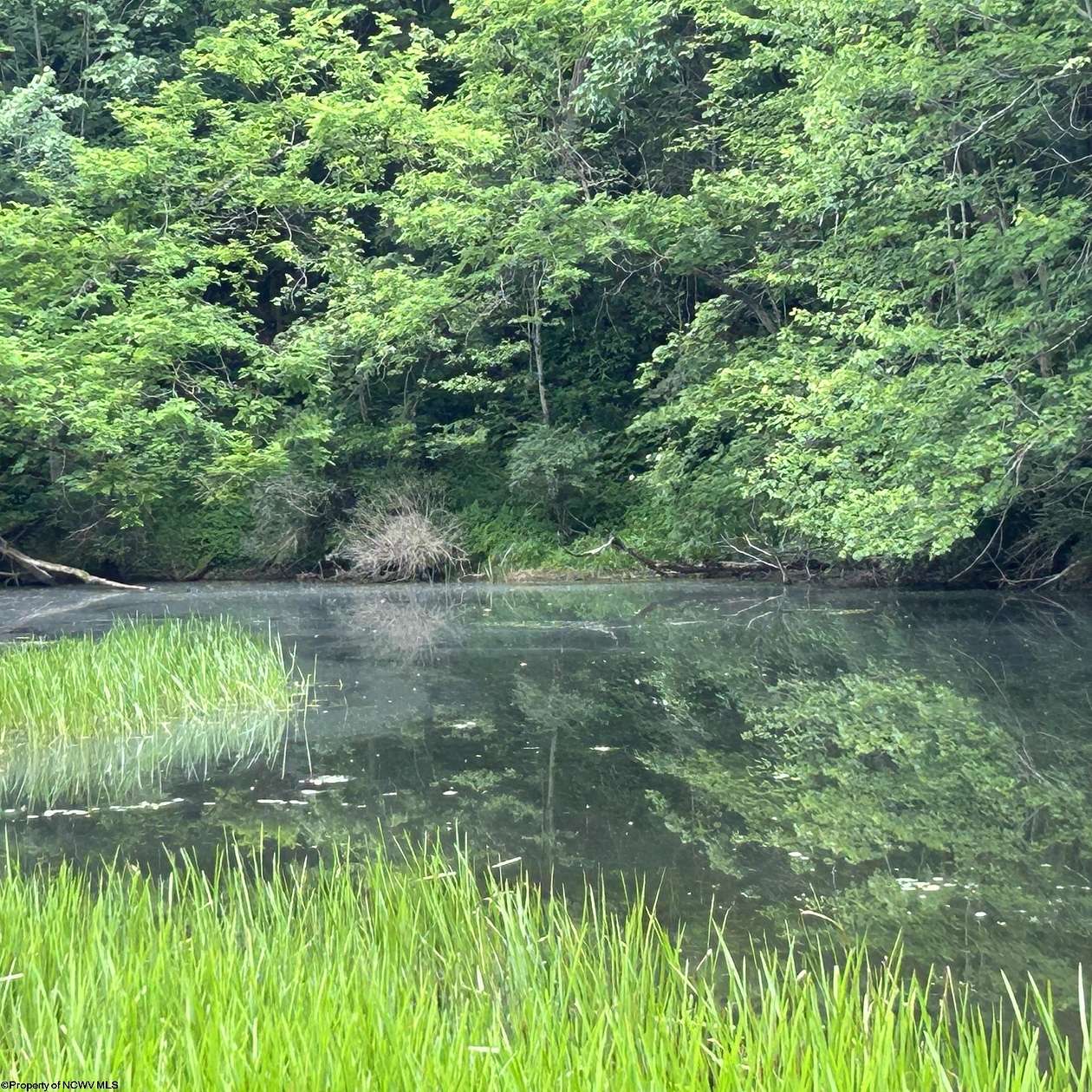 15.9 Acres of Land for Sale in Bruceton Mills, West Virginia