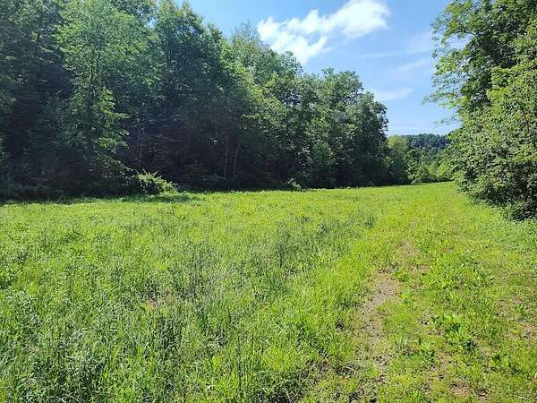 60 Acres of Recreational Land for Auction in Morehead, Kentucky