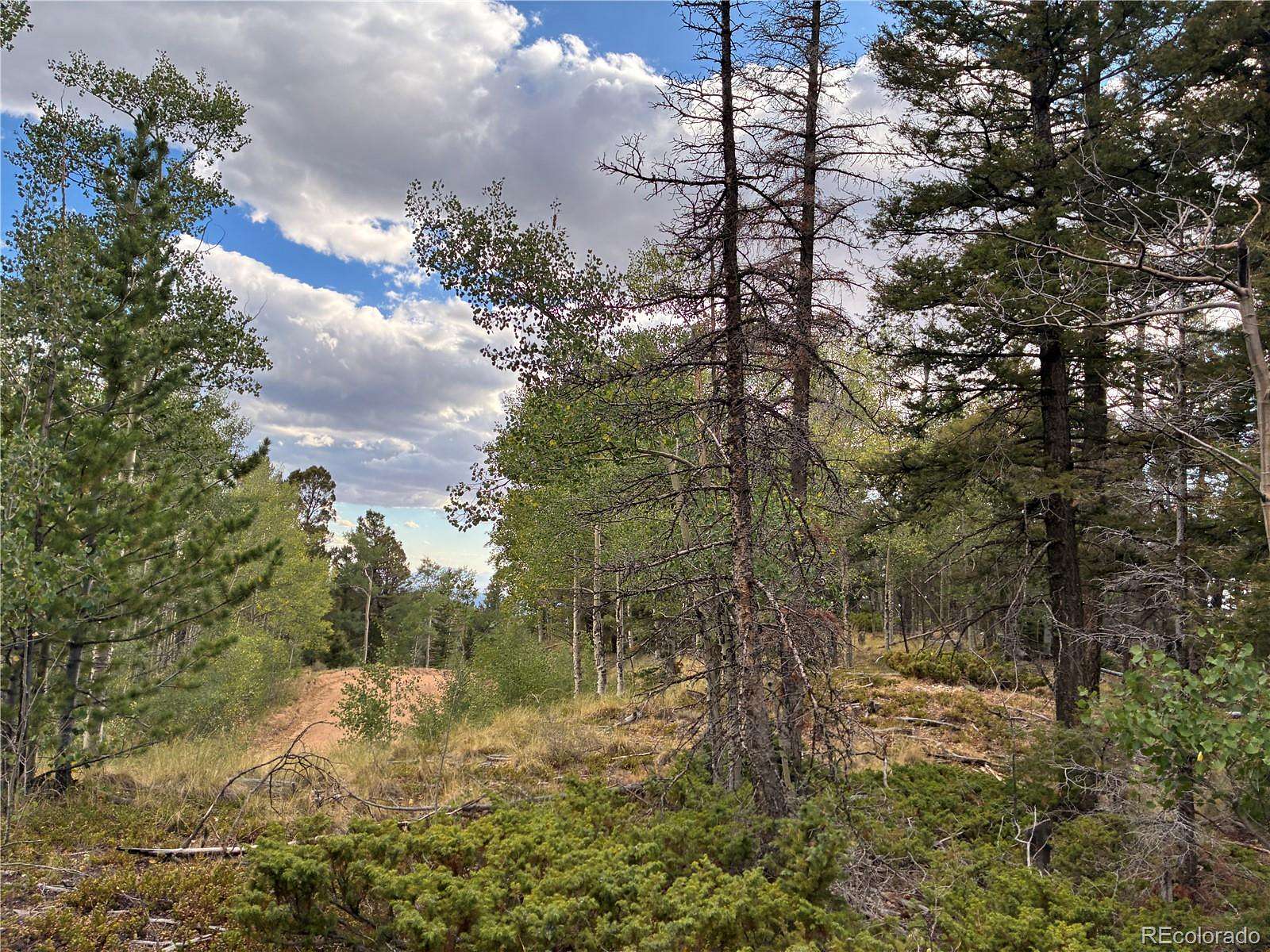 9 Acres of Land for Sale in San Luis, Colorado