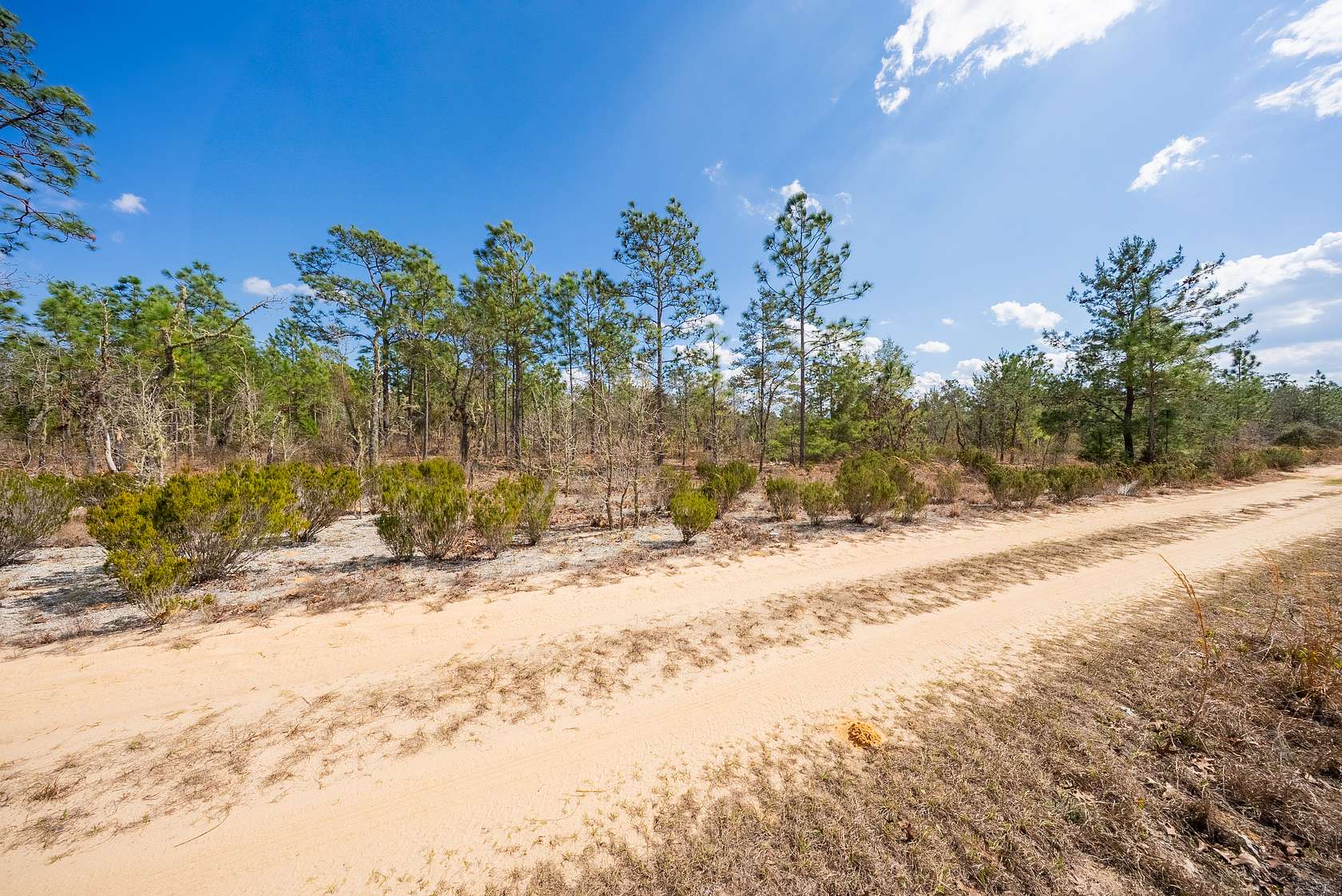 0.46 Acres of Residential Land for Sale in Interlachen, Florida