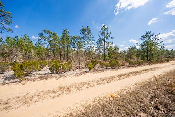 0.46 Acres of Residential Land for Sale in Interlachen, Florida