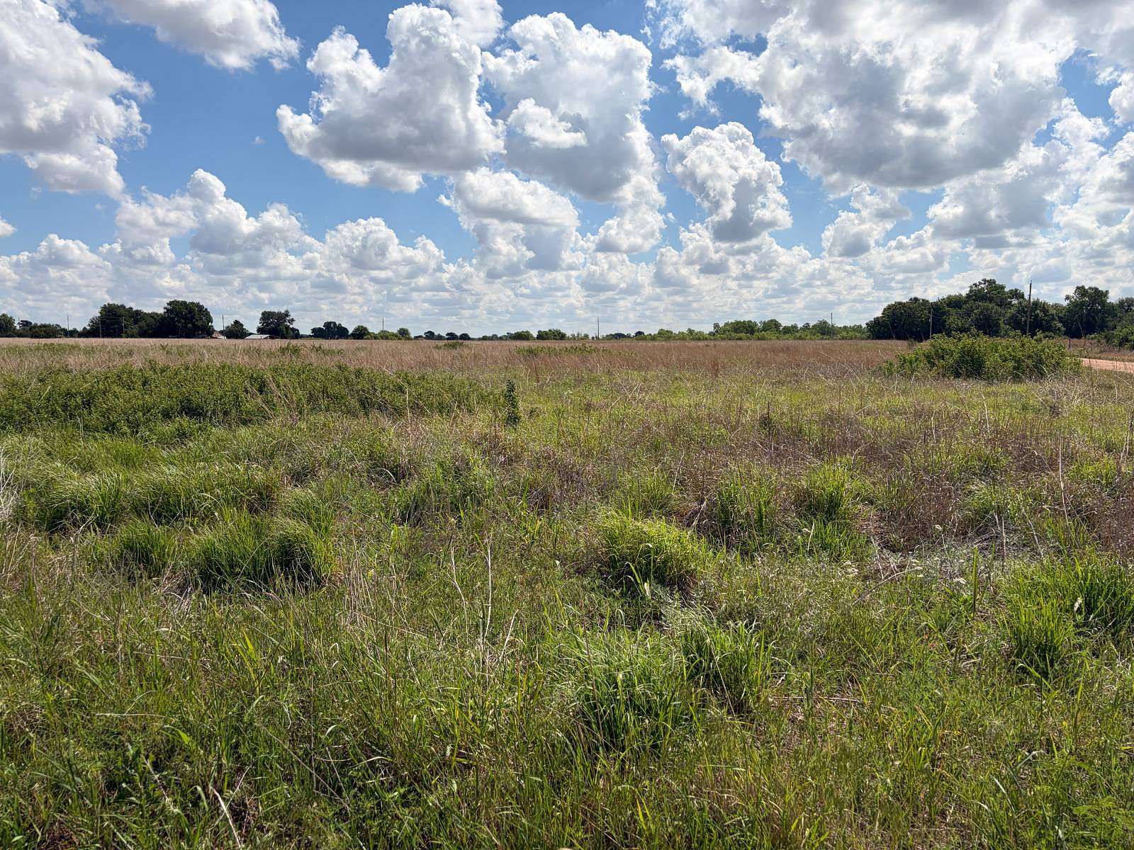 121 Acres of Land for Sale in Spivey, Kansas