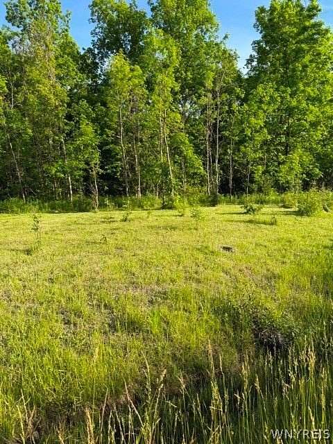 1.14 Acres of Residential Land for Sale in Hamburg, New York