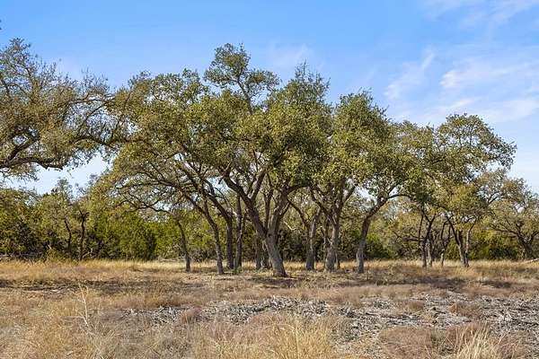 54 Acres of Agricultural Land for Sale in Johnson City, Texas