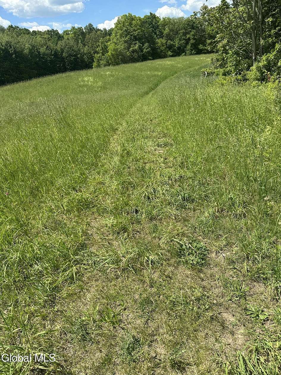 56 Acres of Land for Sale in Columbia Town, New York