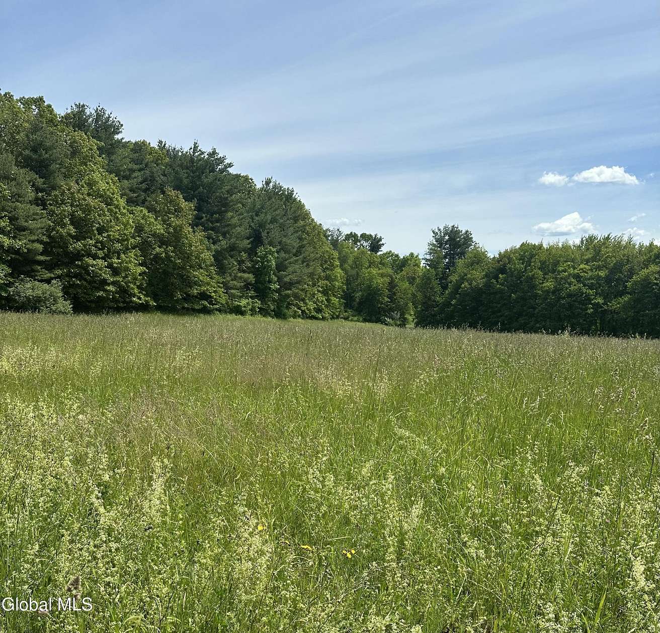 56 Acres of Land for Sale in Columbia Town, New York