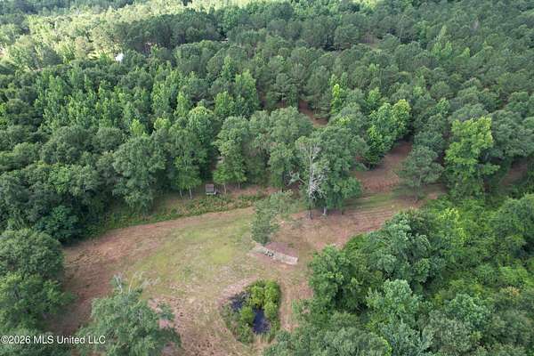 47 Acres of Recreational & Residential Land for Sale in Taylorsville, Mississippi