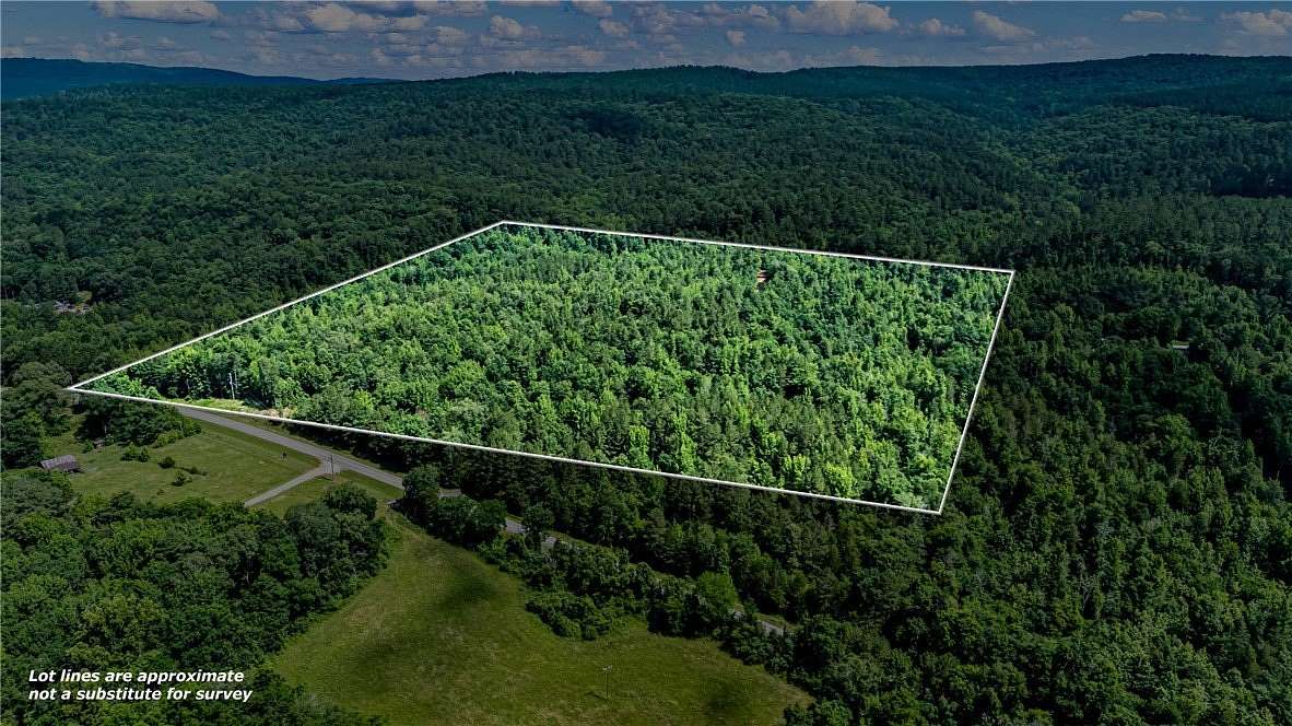 40 Acres of Recreational Land for Sale in Oark, Arkansas