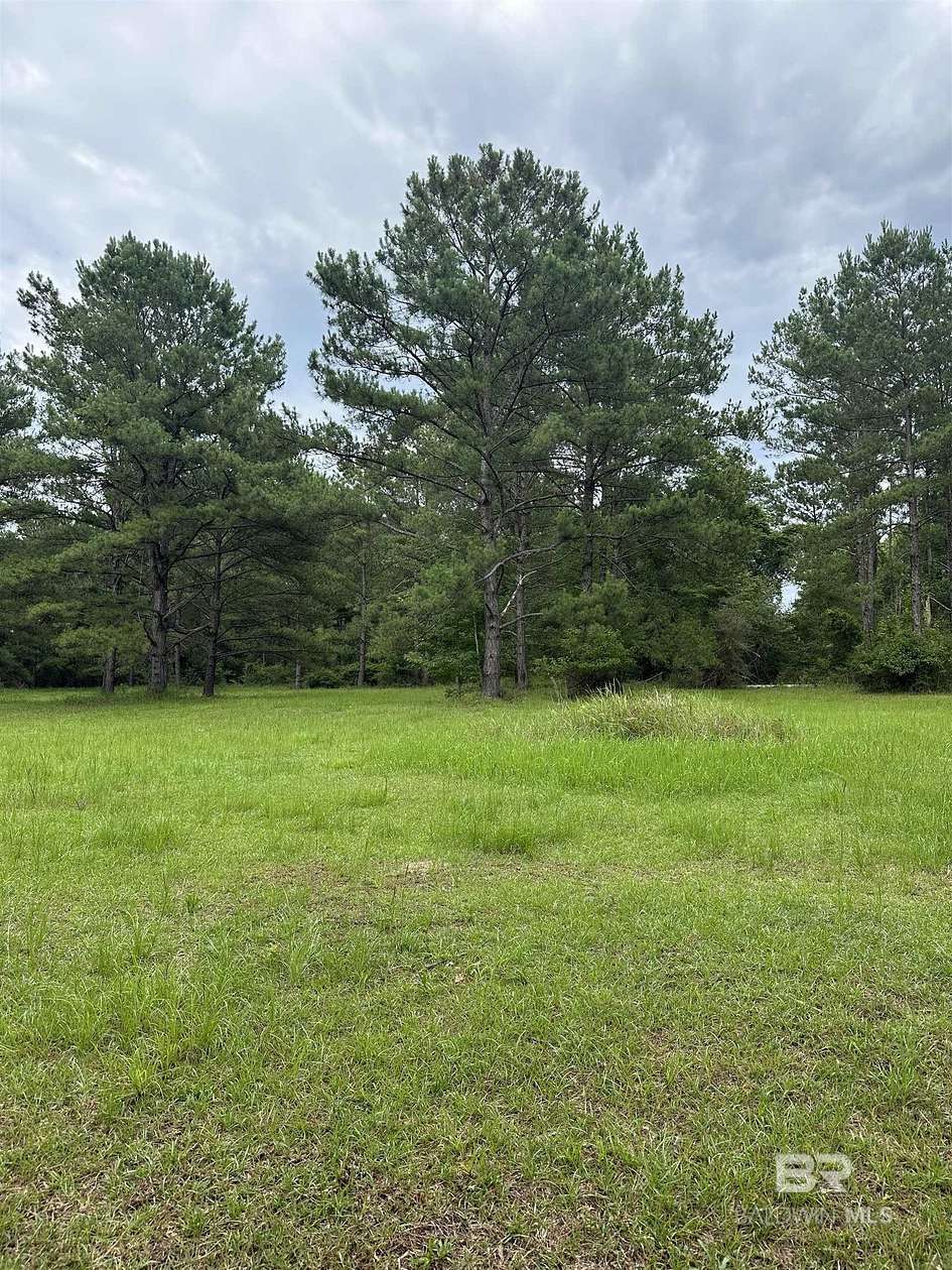 Residential Land for Sale in Bay Minette, Alabama