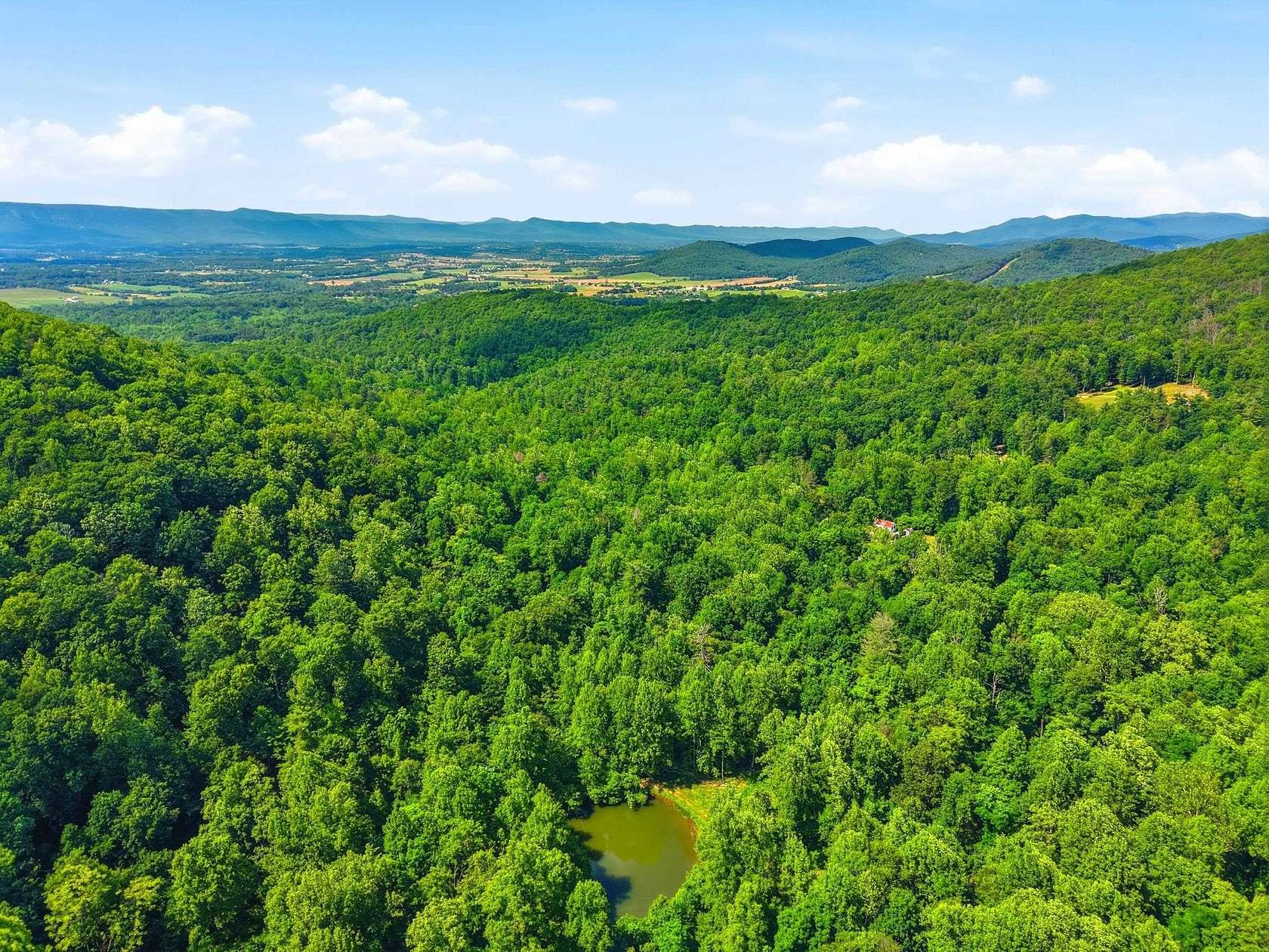 56.7 Acres of Recreational Land for Sale in Stanley, Virginia