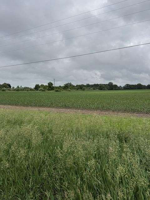 19.8 Acres of Land for Sale in Greenville, Michigan