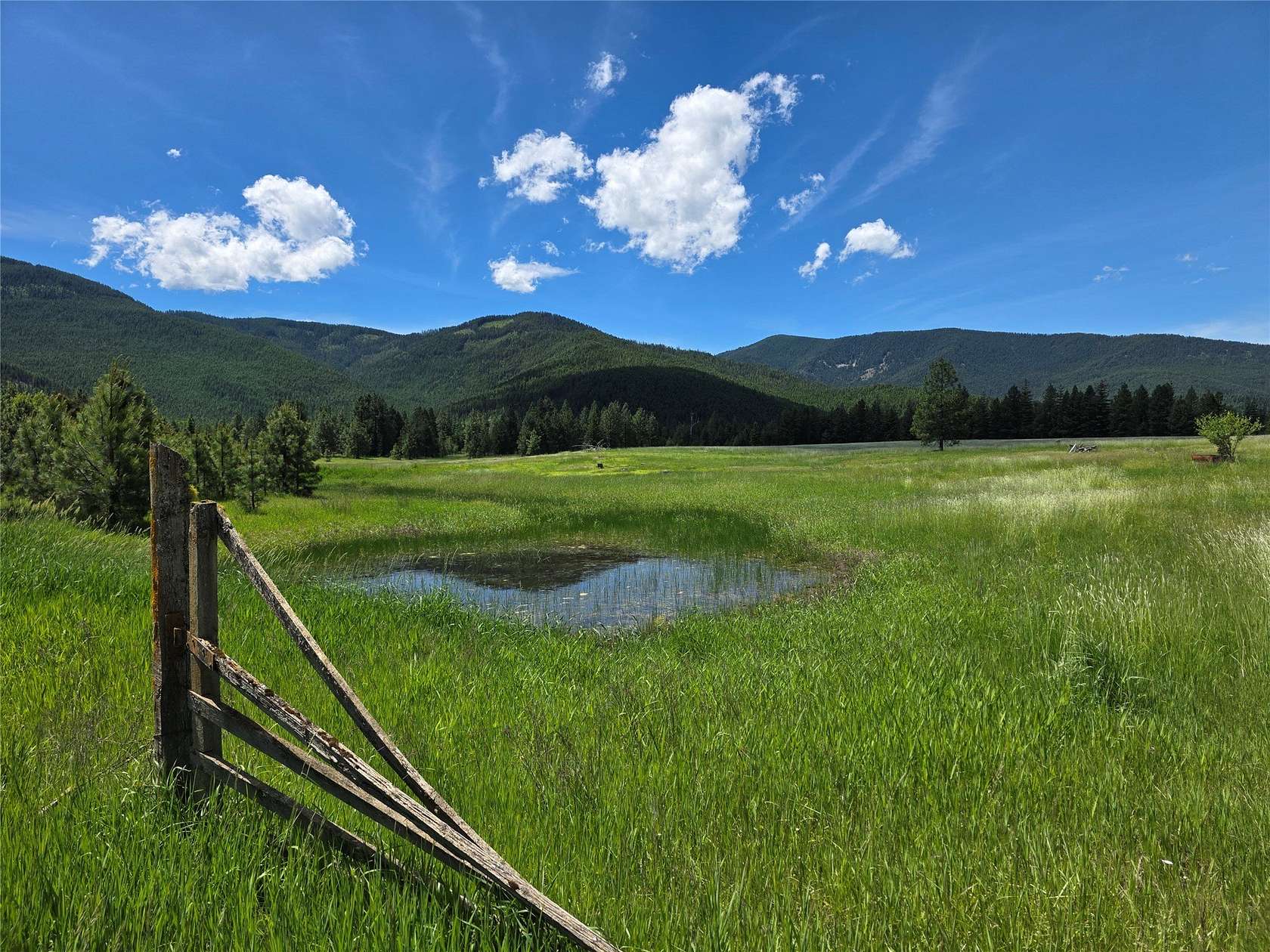 20 Acres of Land for Sale in Trout Creek, Montana
