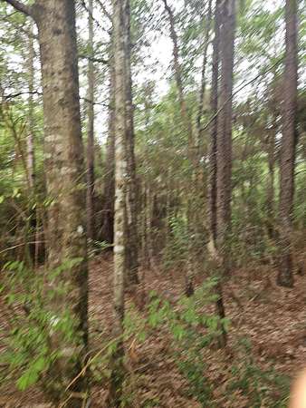 1.12 Acres of Land for Sale in Crestview, Florida