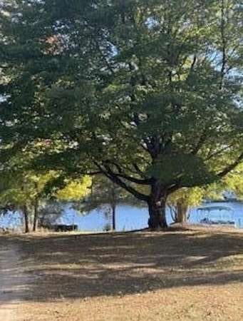 0.43 Acres of Residential Land for Sale in Stanwood, Michigan