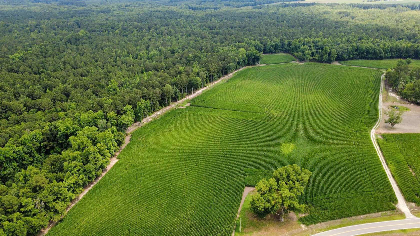 60 Acres of Recreational Land for Sale in Green Sea, South Carolina