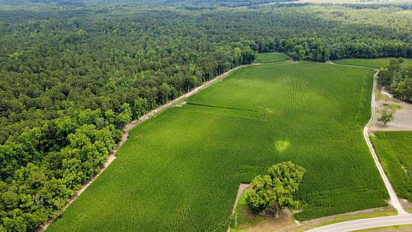 60 Acres of Recreational Land for Sale in Green Sea, South Carolina