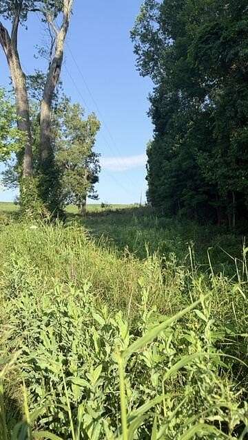 22 Acres of Recreational & Residential Land for Sale in Science Hill, Kentucky
