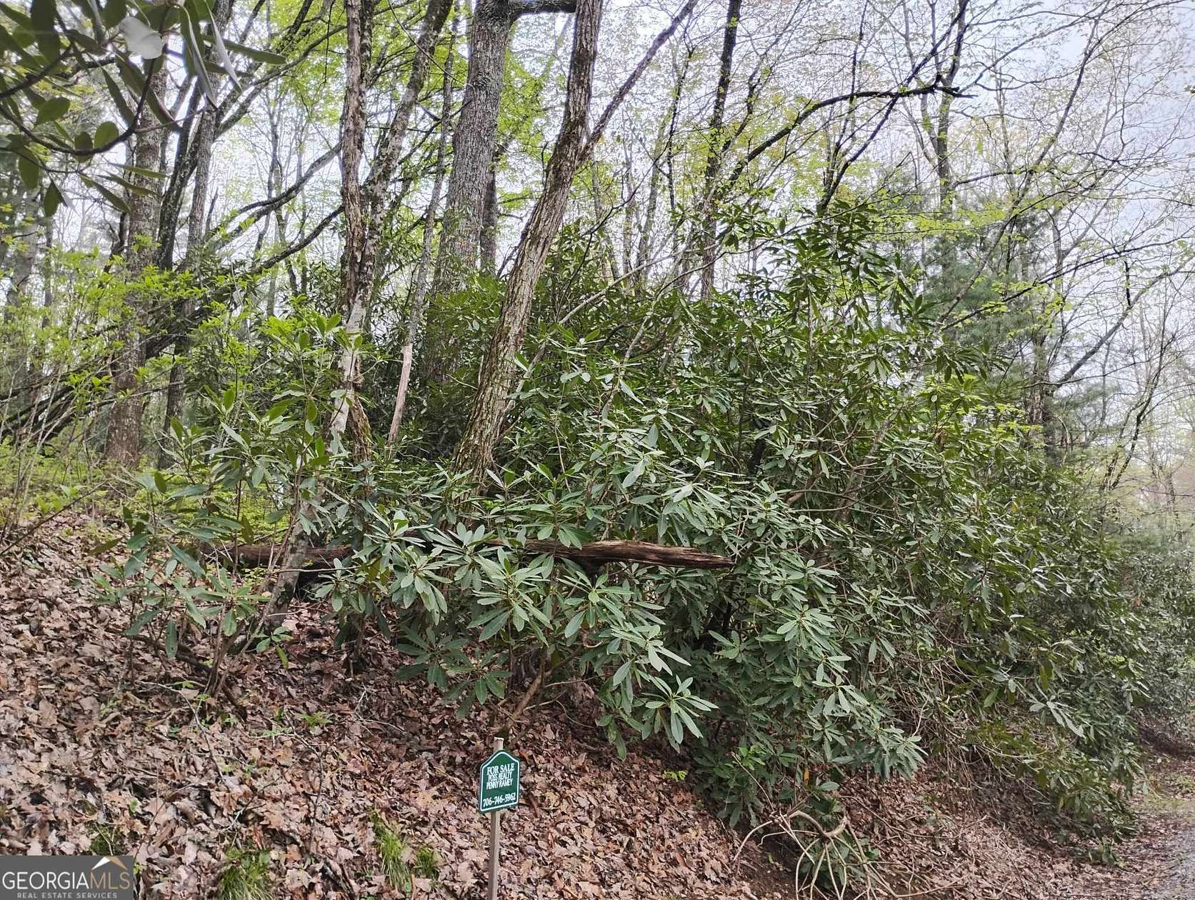 0.39 Acres of Residential Land for Sale in Sky Valley, Georgia