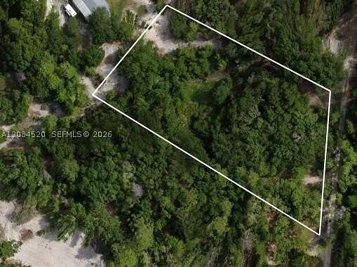 Residential Land for Sale in Pomona Park, Florida