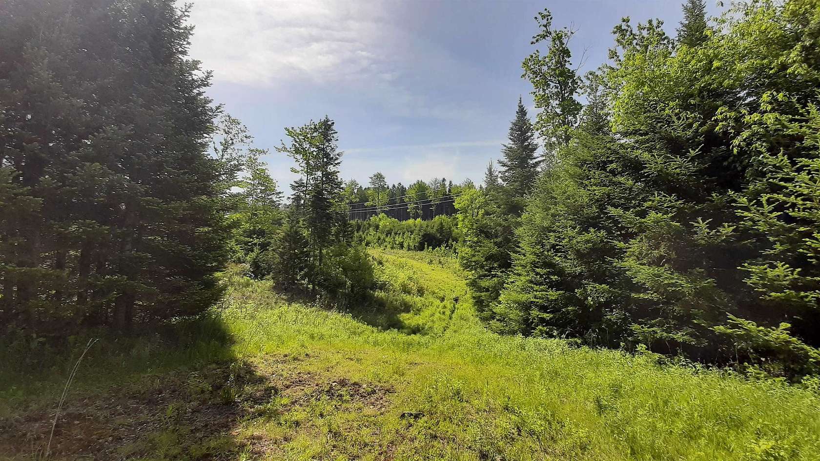 20 Acres of Recreational Land for Sale in Mount Holly, Vermont