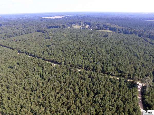 52 Acres of Recreational Land for Sale in Spearsville, Louisiana