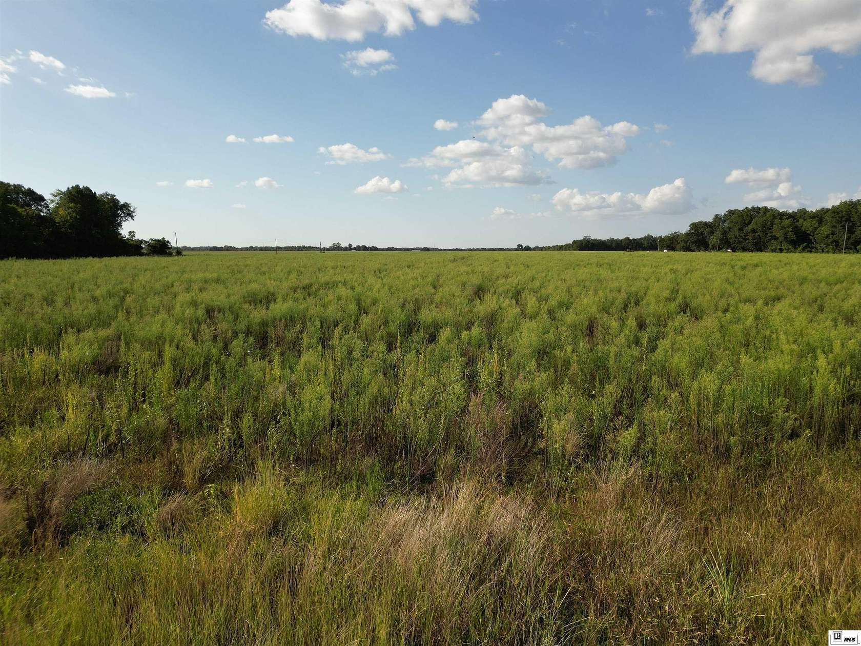 71 Acres of Land for Sale in Rayville, Louisiana