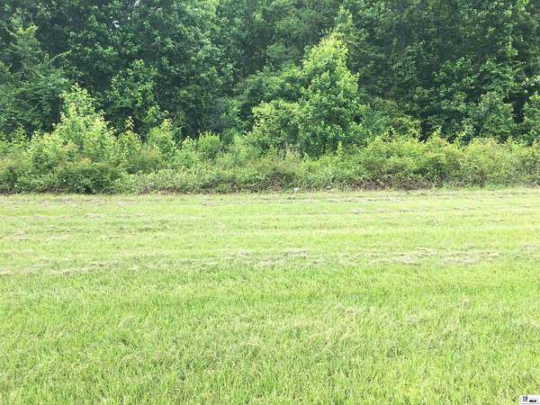 2.7 Acres of Mixed-Use Land for Sale in Richwood, Louisiana