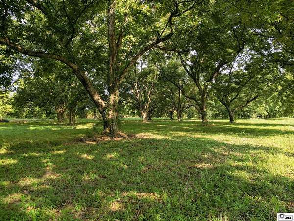 1.5 Acres of Residential Land for Sale in Tallulah, Louisiana