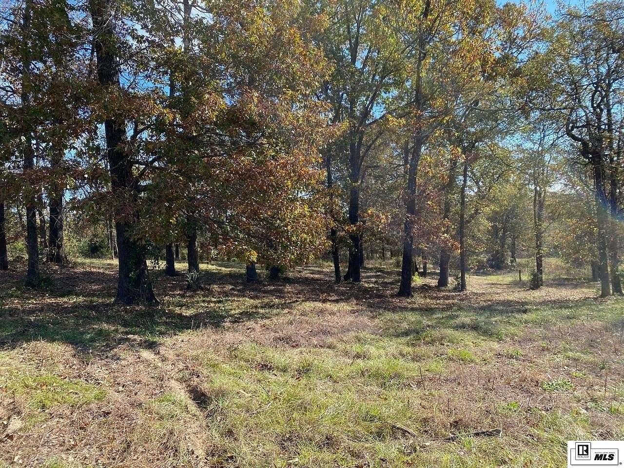 1.58 Acres of Residential Land for Sale in Calhoun, Louisiana