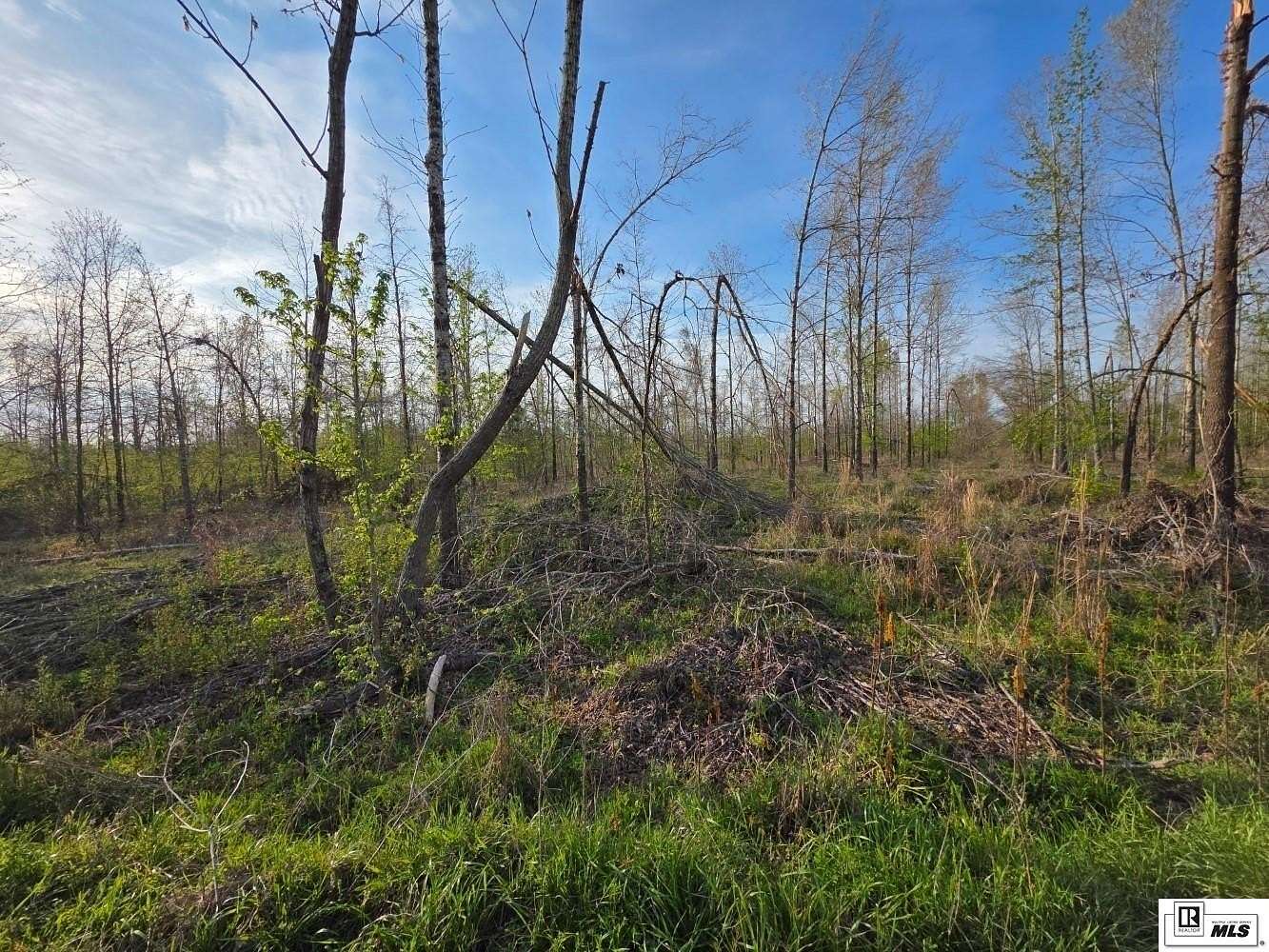 71.7 Acres of Recreational Land for Sale in Mangham, Louisiana