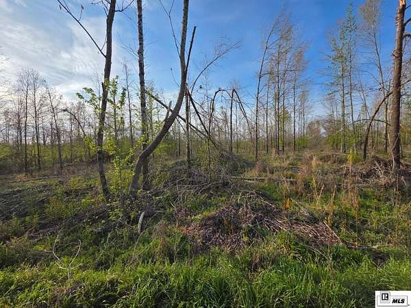 71.7 Acres of Recreational Land for Sale in Mangham, Louisiana