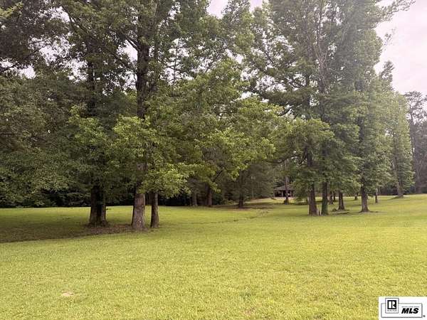 1 Acre of Residential Land for Sale in Urania, Louisiana