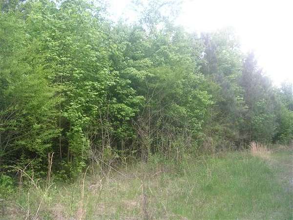 40 Acres of Commercial Land for Sale in Monroe, Louisiana