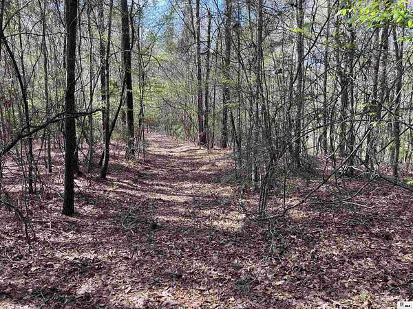 34.5 Acres of Recreational & Residential Land for Sale in West Monroe, Louisiana