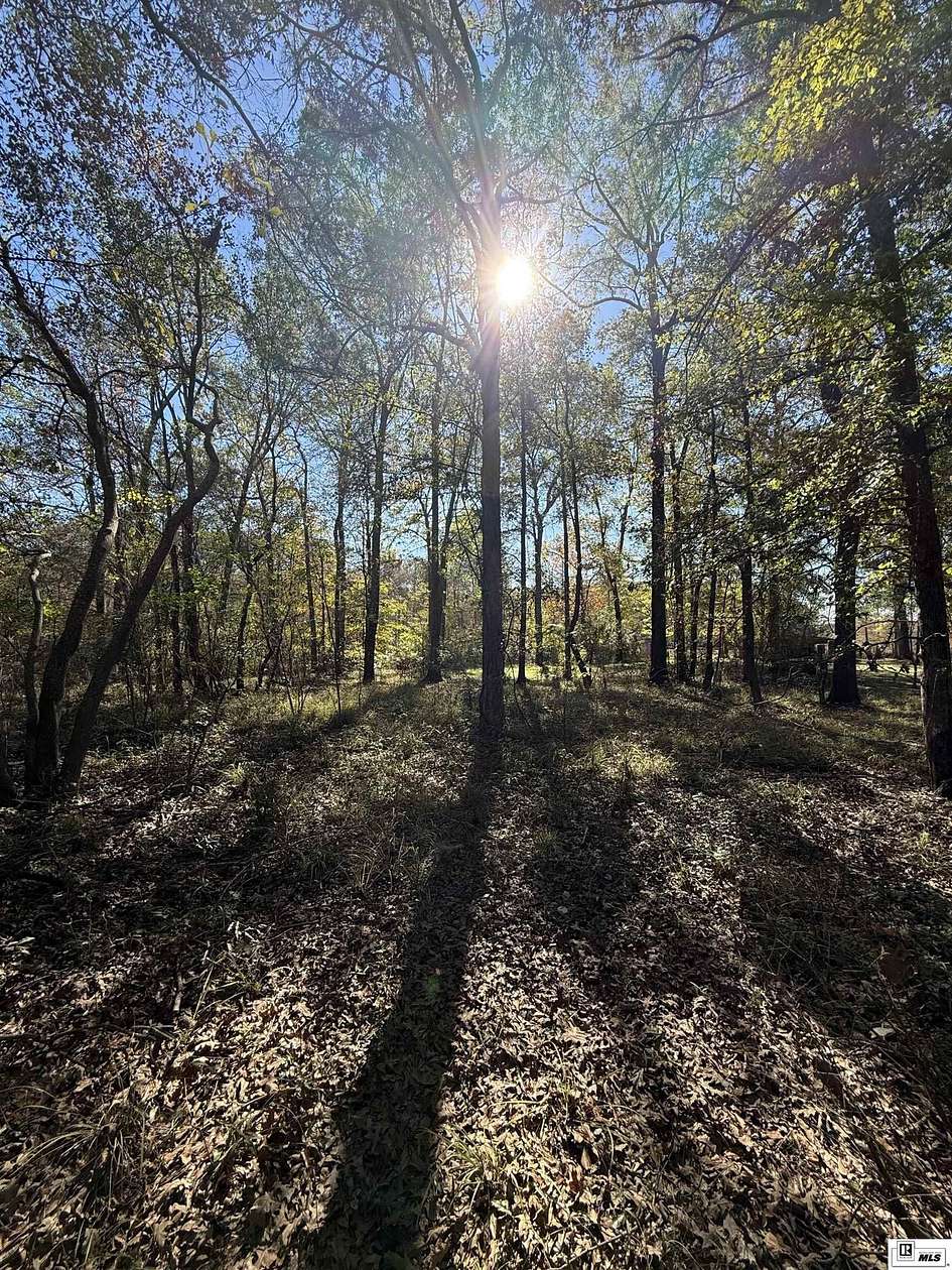 1 Acre of Residential Land for Sale in Bernice, Louisiana