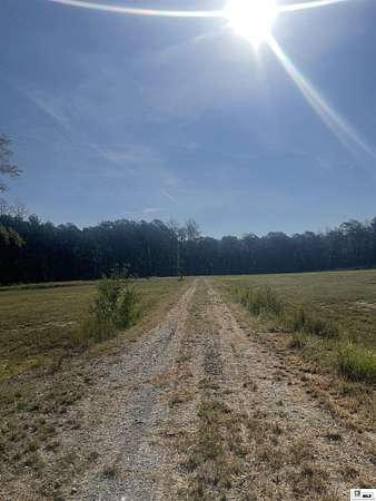 43 Acres of Recreational & Residential Land for Sale in Collinston, Louisiana