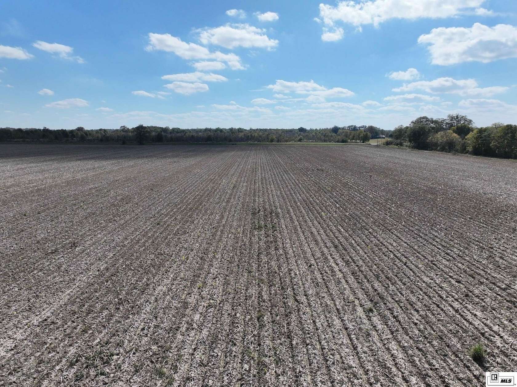 38.5 Acres of Agricultural Land for Sale in Pioneer, Louisiana