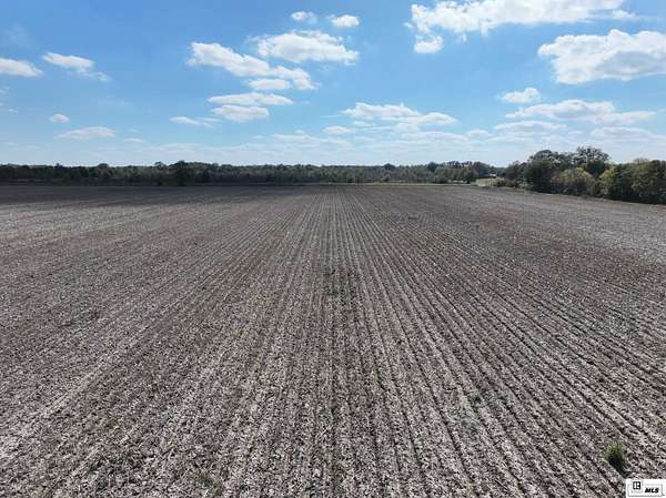 38.5 Acres of Agricultural Land for Sale in Pioneer, Louisiana