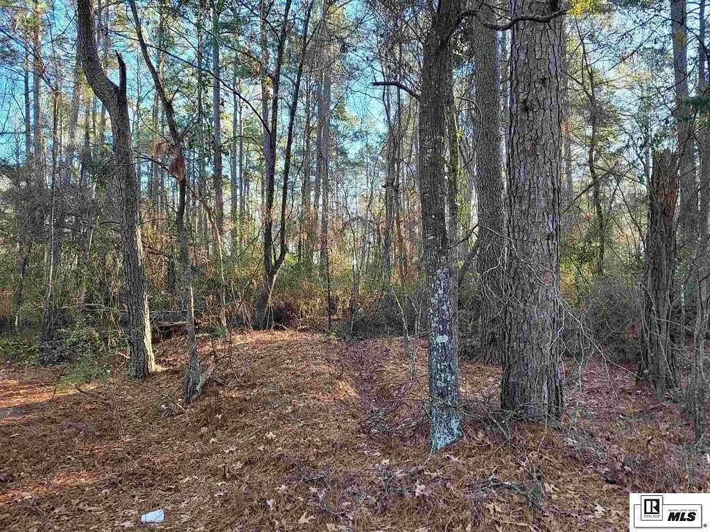 50.6 Acres of Land for Sale in Monroe, Louisiana